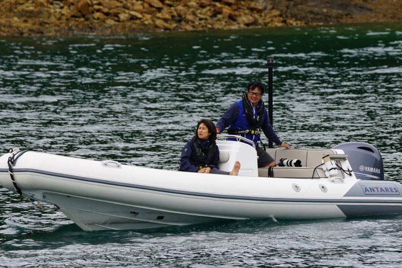 Strata 600 Inboard / Outboard Tender