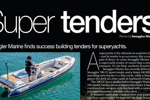 Super Tenders